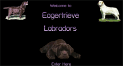 Desktop Screenshot of eagertrieve.com